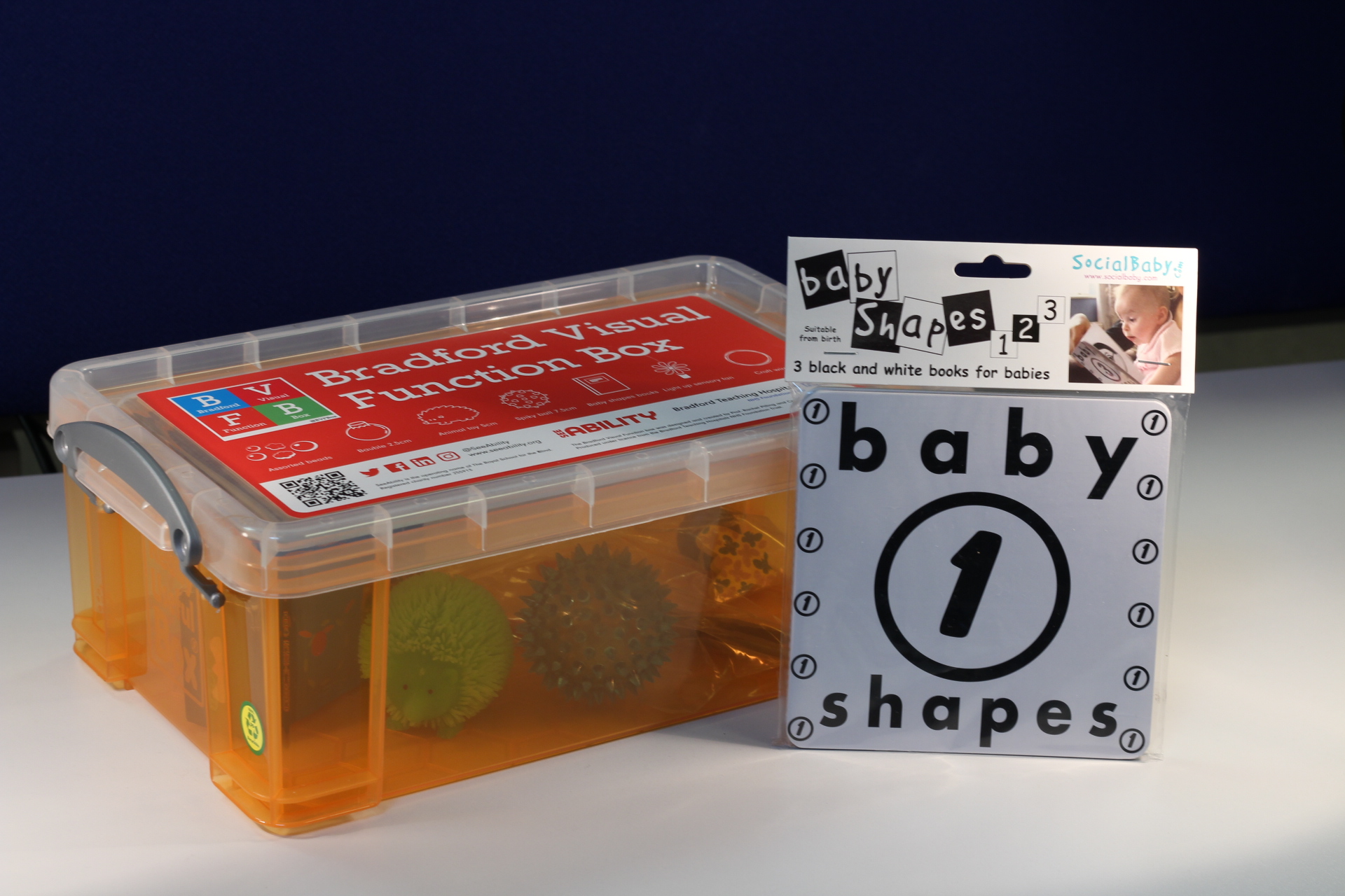 The Bradford Visual Function Box