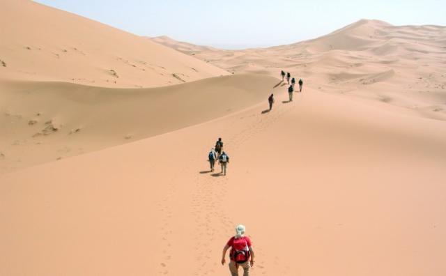 People trekking the Sahara Desert