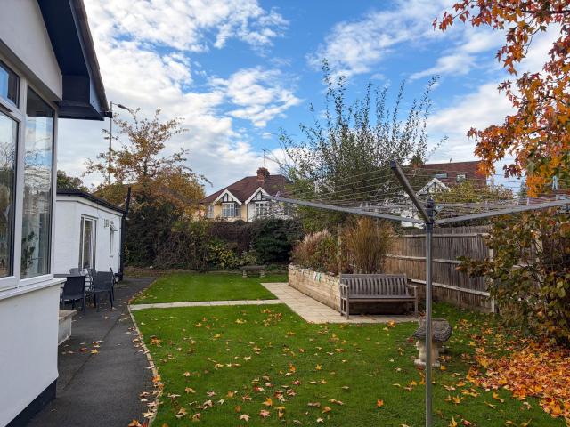 The garden at Surbiton, showing a green open space surrounded by hedges, a large tree and a wooden seating area.