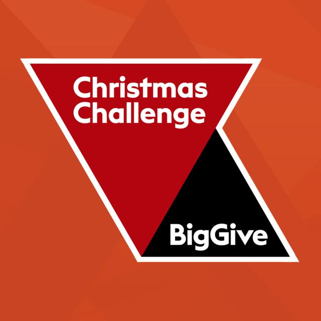 Big Give logo