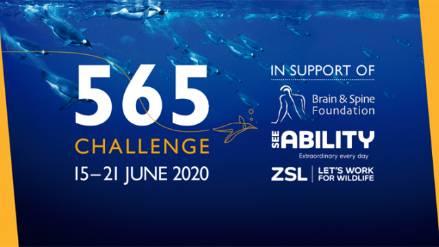 Sovereign’s 565 challenge raises over £10,000 for SeeAbility!