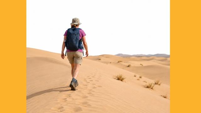 A person trekking in the sahara desert